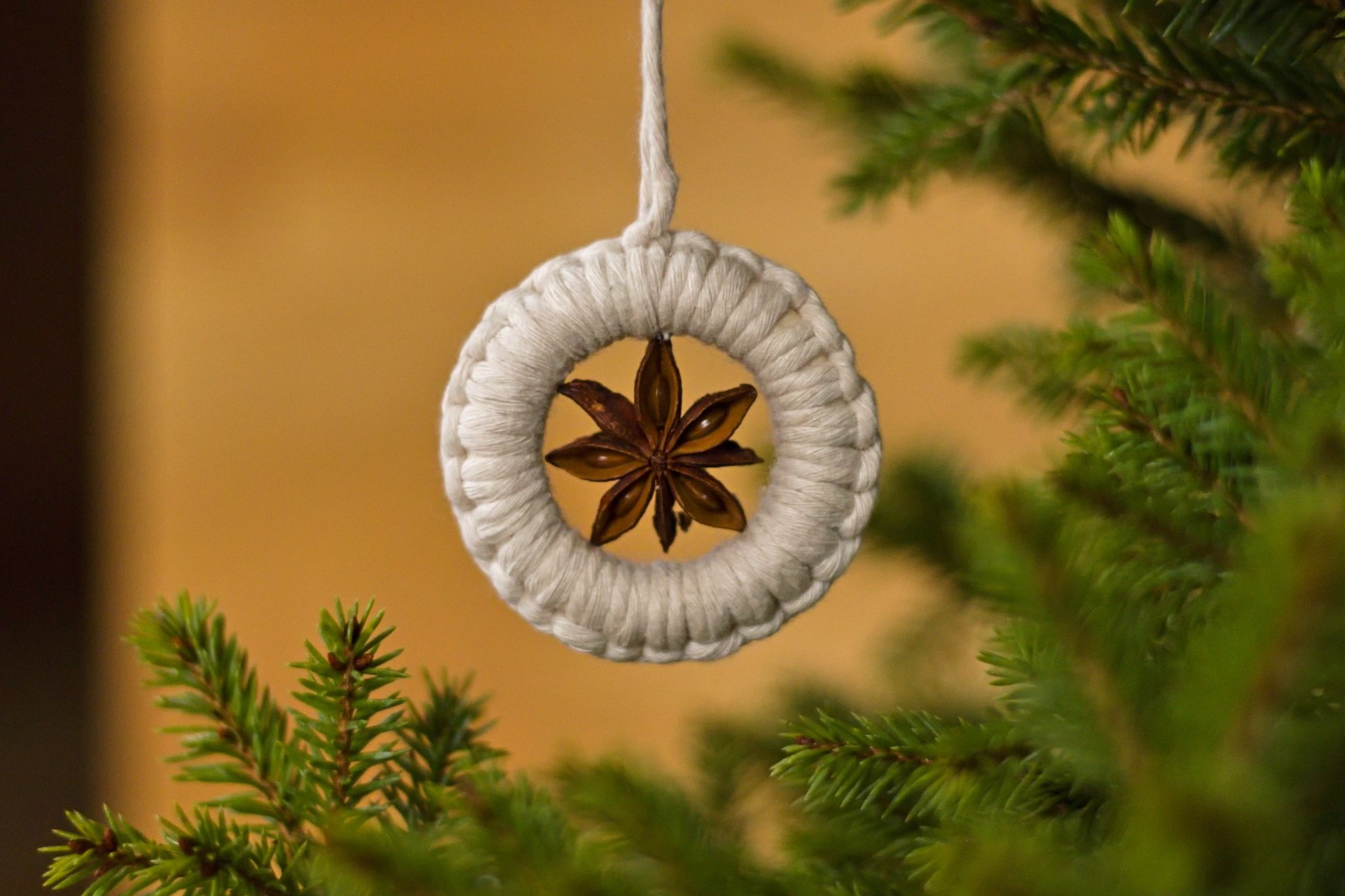 Kouzla ročních dob